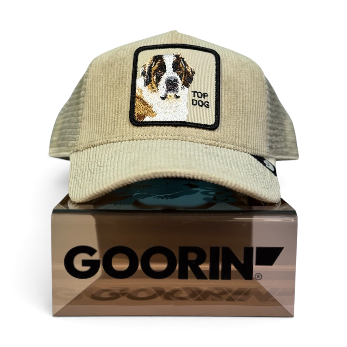 Corduroy Top Dog