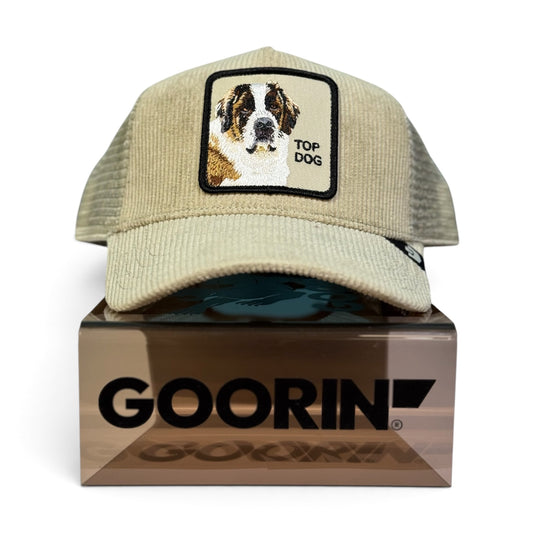Corduroy Top Dog
